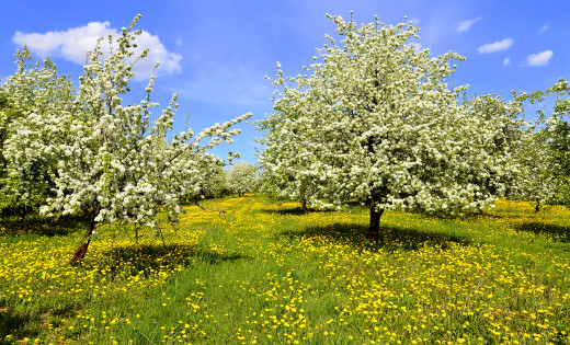 935697 (a): :2600x1575